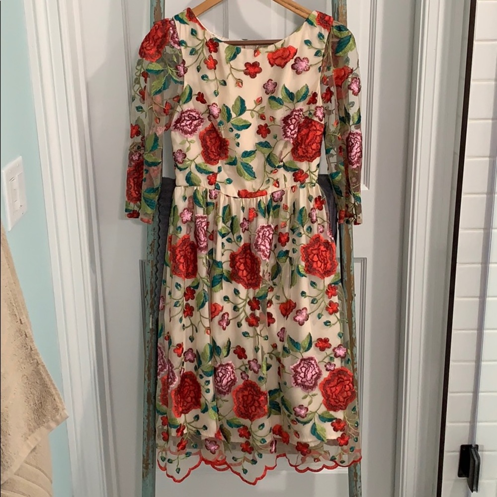 Lace & Mesh embroidered dress